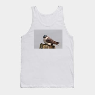 An Extremally Good-Looking Tree Swallow Tank Top